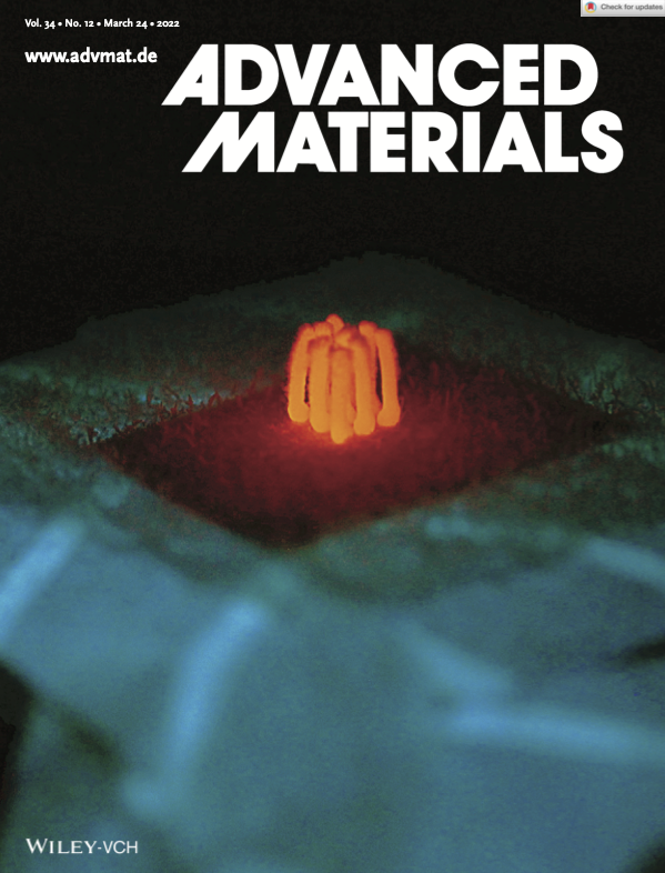 Advanced Materials