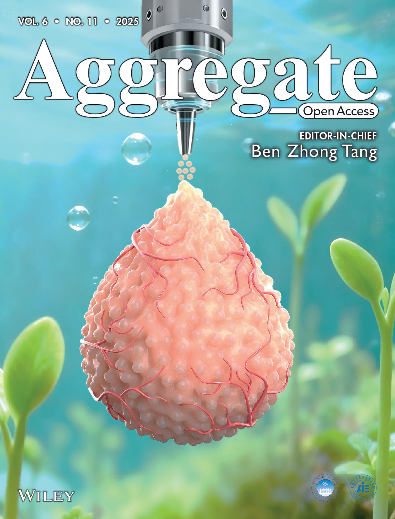 XT aggrate封面.png